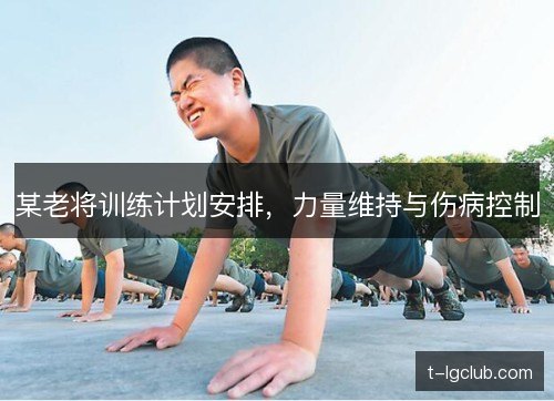 某老将训练计划安排,力量维持与伤病控制 某老将训练计划安排,力量维持与伤病控制